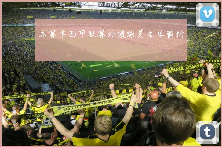 本赛季西甲联赛外援球员名单解析