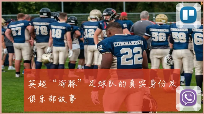 英超“海豚”足球队的真实身份及俱乐部故事