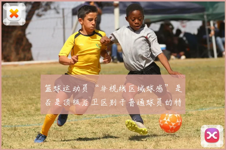 篮球运动员“非视线区域球感”是否是顶级后卫区别于普通球员的特质