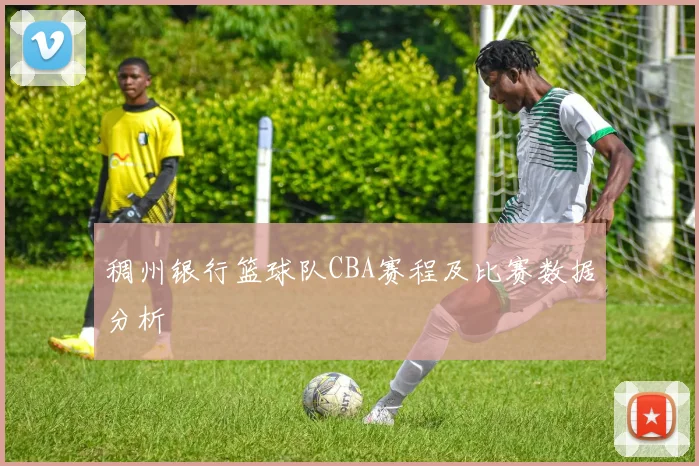 稠州银行篮球队CBA赛程及比赛数据分析